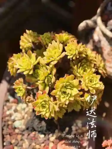 法师最牛最霸气名字(一眼就看出是玩法师的ID)插图70