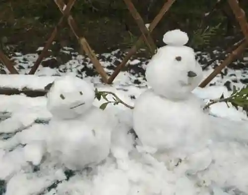 重装雪人阵容搭配(雪天队最强配置)插图3