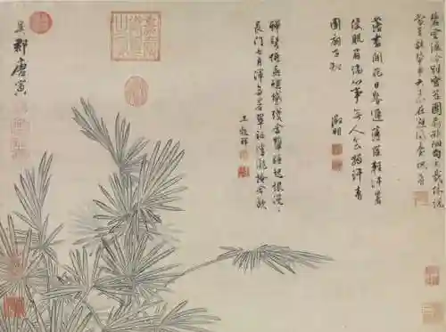 华扇淑搭配阵容(sp清姬最强阵容推荐)插图40