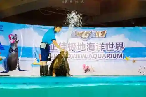 炫舞极地搭配阵容(炫舞时尚先锋sss搭配)插图46