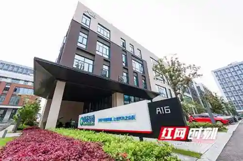 荒古奇谭阵容搭配攻略(山海经异兽录阵容搭配)