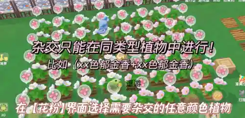 摩尔庄园花粉怎么获得(摩尔庄园花粉杂交攻略)