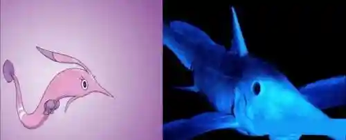 宠物小精灵吧(神奇宝贝精灵名字大全)插图1