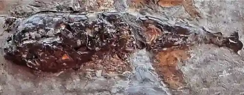 大鱼吃小鱼经典版中文(大鱼吃小鱼最老的版本)