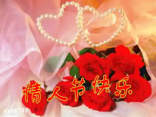 情人节图片(七夕照片配图)插图2