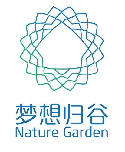 琴行阵容搭配推荐图表(琴平民玩家阵容)插图35
