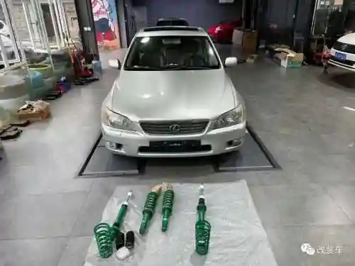 绿罩鲨阵容搭配(沙暴队最强阵容搭配)插图10