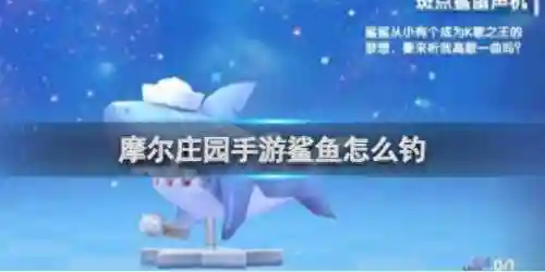 摩尔庄园鲨鱼怎么获得(摩尔庄园钓鲨鱼需要什么条件)