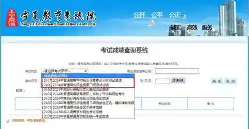 考试成绩查询(中小学生查成绩的软件)