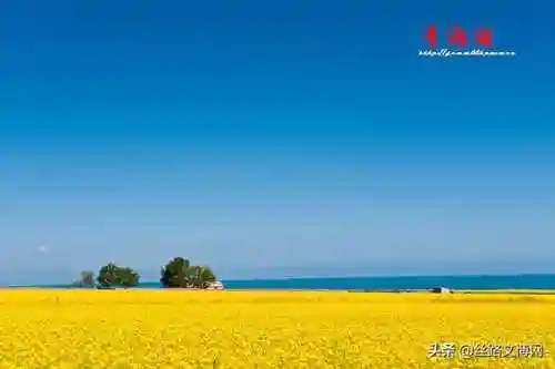 侠客风云传极乐宫剧情(侠客风云传邪线流程)插图7