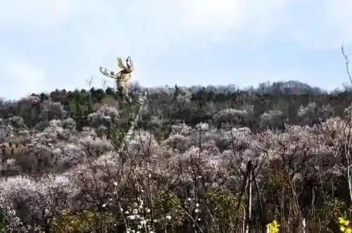 封神榜电视剧(封神榜陈浩民40集免费观看国语)插图15