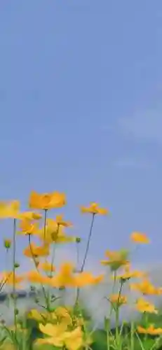 手机壁纸2022最新壁纸(手机壁纸文字)插图13