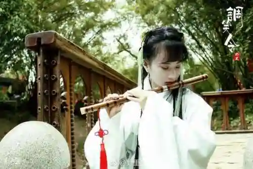 双圣时光阵容搭配图鉴(伏魔记五色队阵容搭配)
