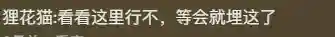 赏金猎人猫咪阵容搭配(赏金猎人阵容怎么运营)插图12