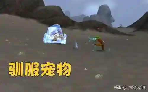 兽王猎特殊宠物列表(兽王什么宠物最厉害)