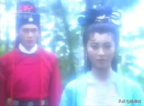 碧血青天杨家将(碧血青天三部曲顺序)