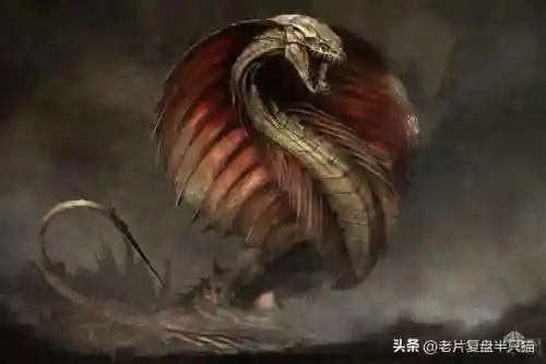 地下城守护者2怪物介绍(地下城守护者2最后一关怎么过)插图15