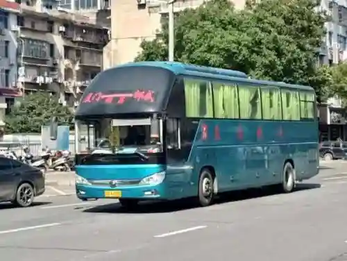 长途汽车票网上订票(订大巴车票用什么软件)插图4