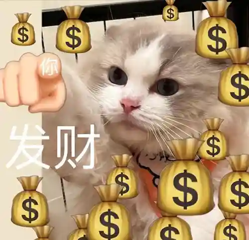 吉祥猫咪阵容搭配图鉴最新(铃鹿御前阵容搭配pve)