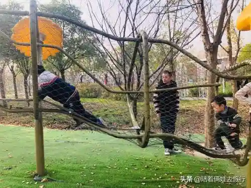 洛克王国紫藤快速获得(洛克王国紫藤150怎么弄)插图57