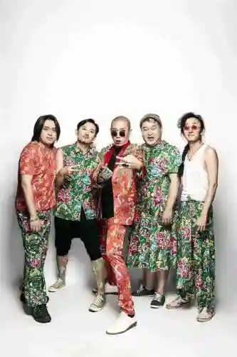 我是歌手阵容搭配(胡桃主c搭配什么阵容)插图7