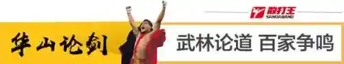 散打用什么武器最好(dnf散打用臂铠还是拳套)