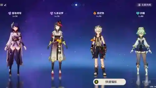 雷电将军组队阵容搭配(白骑士月光搭配什么阵容)插图1