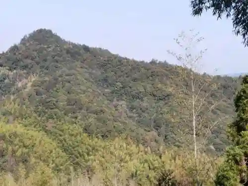灵魂触发者(灵魂触发者矿区详细介绍)插图1
