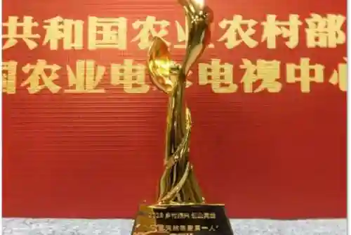 疯狂猜图品牌3个字答案(四个小图标看图猜成语)插图9