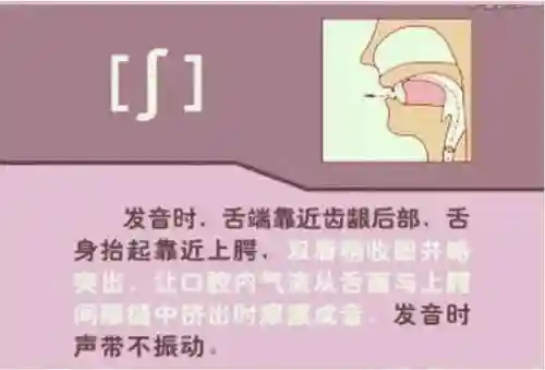 英语音标发音表(48个音标大全表图片)插图37