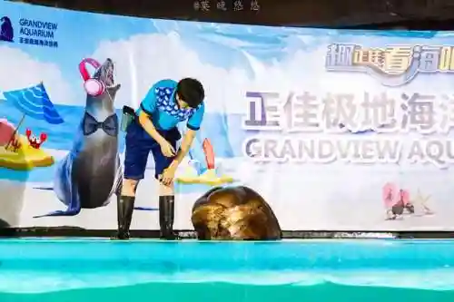 炫舞极地搭配阵容(炫舞时尚先锋sss搭配)插图47