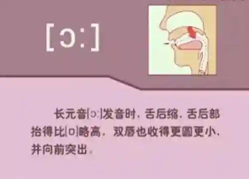 英语音标发音表(48个音标大全表图片)插图11