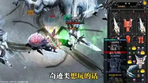 木瓜奇迹战士怎么加点(木瓜奇迹怀旧版各职业加点)插图3