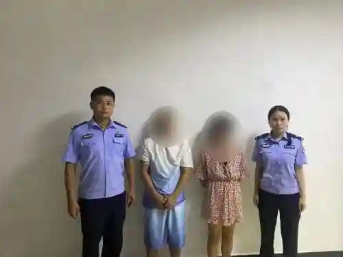 手机麻将机必赢神器(手机麻将万能挂下载安装)插图3