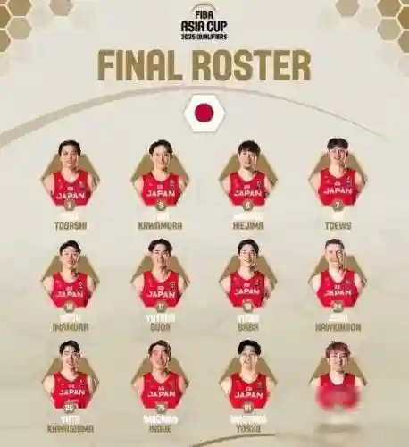饿狼最强阵容搭配图(新版本最强阵容)插图1