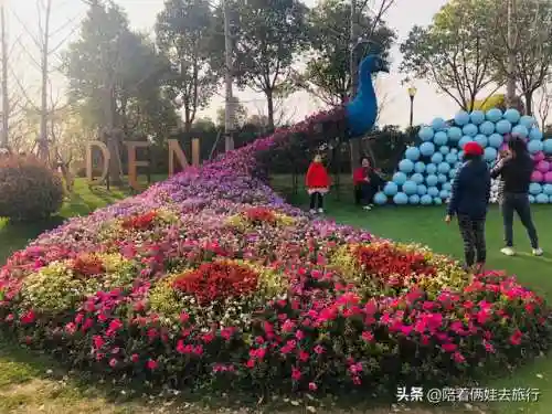 洛克王国紫藤快速获得(洛克王国紫藤150怎么弄)插图49