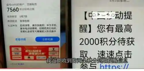 个人积分怎么查询 积分查询(小孩上学积分怎么查我的积分)插图2