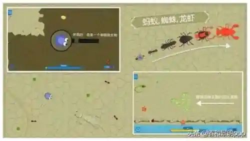 孢子2生物进化中文版(孢子进化5手机中文版下载)插图4