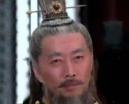 王莽臣子阵容搭配攻略(郭嘉乐进夏侯渊阵容搭配)