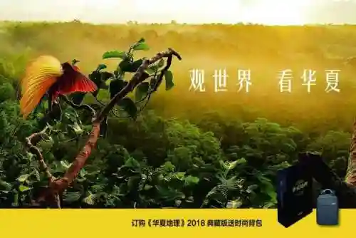 卡特琳娜岛(马略卡岛)插图24