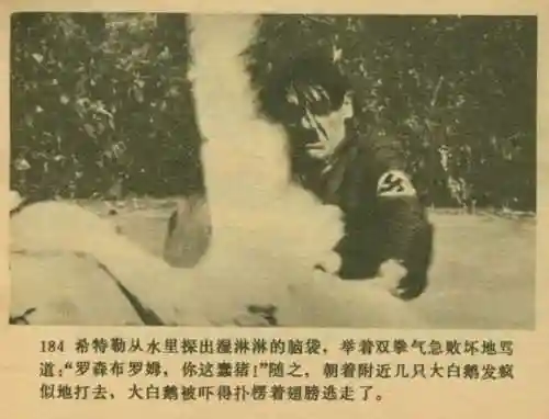 王中王马王中王资料大全(澳门王中王100%的资料)插图185