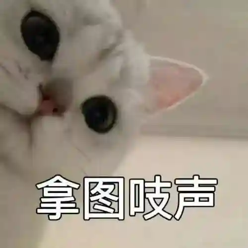 偷心盗贼搭配阵容推荐图片(偷心盗贼是什么意思)插图13