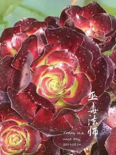 法师最牛最霸气名字(一眼就看出是玩法师的ID)插图23