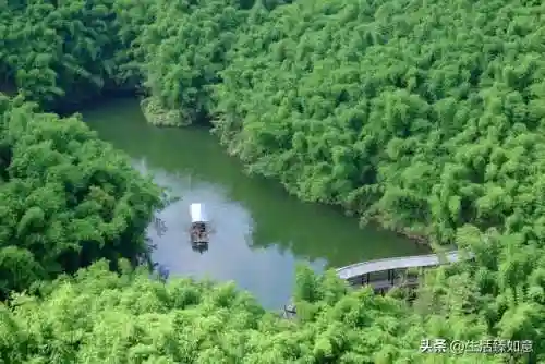 蜀南竹海阵容搭配(蜀盾最强阵容搭配)插图1