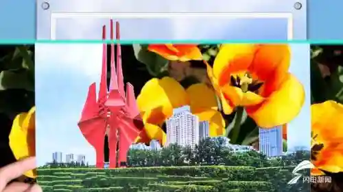 蓝线挑战最强阵容搭配图片(蓝卡队最常见的队伍搭配)插图14