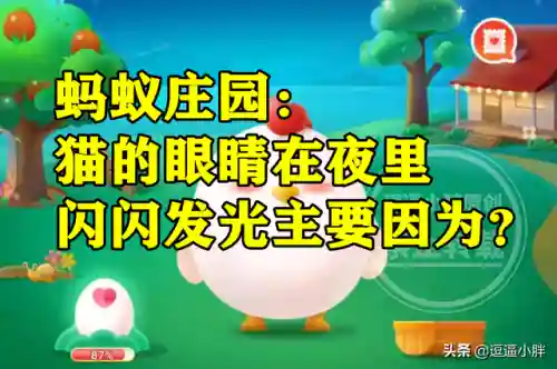 猫的眼睛蚂蚁庄园(蚂蚁庄园的答案今天)插图3
