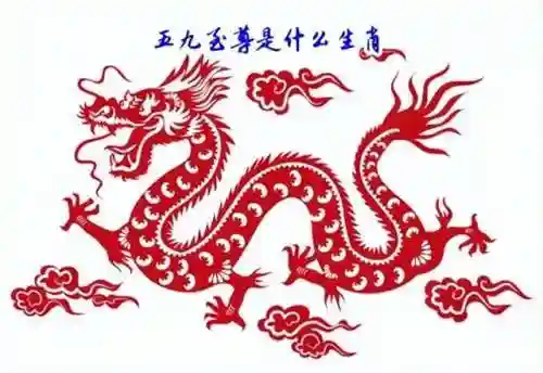 五九至尊阵容搭配图片(梦幻59五开什么阵容最快)