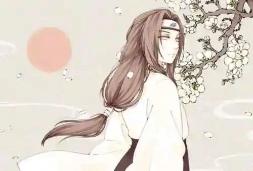 全能忍者推荐阵容搭配(火影忍者最强阵容推荐)插图13
