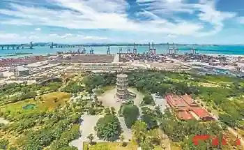 大航海家手机版(航海与家园官方下载)插图5