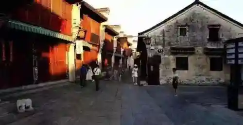 玄武阵容搭配攻略图(玄武反伤流玩法攻略)插图26